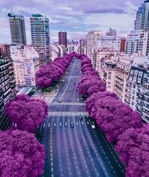 Buenos Aires Argentina 