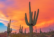 Burning Sky Sunset In North Scottsdale Arizona  IG swvisionsnow