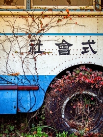 Bus being devoured by nature 