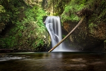 Butte Creek Falls Oregon 