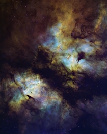 Butterfly Nebula in Cygnus 