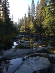 By our campsite in Yosemite 