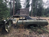 Cabin and car in the forest northern Idaho