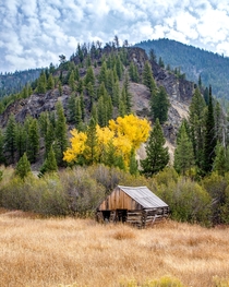 Cabin in abandoned mining town in Central Idaho Bonanza ID 