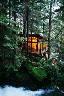 Cabin in the dense coniferous forests on the Pacific coast of British Columbia Canada
