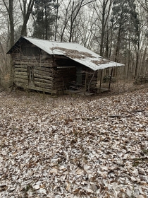 Cabin in the woods Kentucky