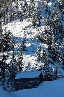 Cabin in the woods Mt Baker ski area 