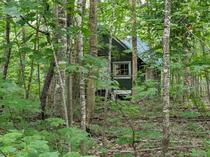 Cabin in the woods Upper Peninsula Michigan