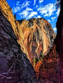 Cable Mountain Zion 