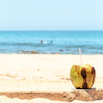 Cabo San Lucas Beach With Coconut