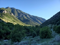 Cache National Forest - Mountains above Logan UT - 