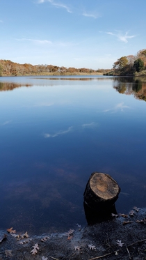 Calm water at Fresh Pond Amagansett NY x 