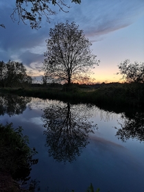 Canal walk in dusk England 
