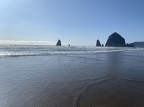 Cannon beach at low tide 