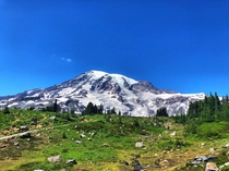 Cant get enough of this place - Skyline Trail Mount Rainier National Park WA US 