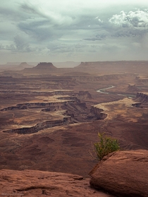 Canyonlands is one the most underrated Utah national parks 