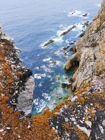 Cape Peas Asturias  OC