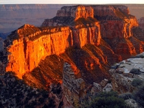 Cape Royal Grand Canyon NP AZ 