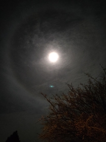 Captured a cool phenomenon called a moon ring the other day caused by light refracting through icy clouds