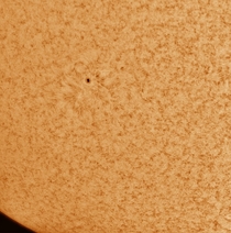 Captured this sunspot today Sunspots have been rare because of a solar minimum we are in