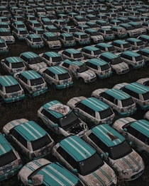Car graveyard after Chinese company went bankrupt