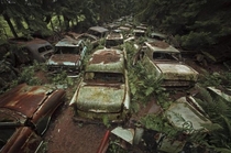 Car graveyard in Belgium after the zombie apocalypse
