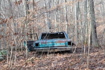 car has been here so long its hard to tell how it arrived deep in the woods