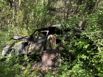 Car in the Woods