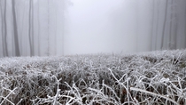 Carpathians Slovakia - Rimy Foggy Meadow 