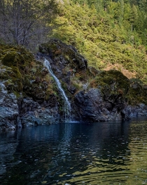 Cascade off the banks of the Rogue River Oregon 