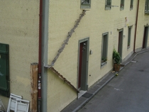 Cat ladder on the side of a house in Bern CH 