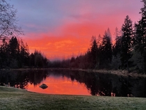 Caught this sunrise on my way to work today OC Washington State 