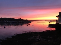 Caused a small traffic jam on my way to work for this taken on my iPhone  Falmouth Cornwall UK