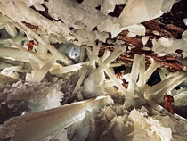 Cave of Crystals Mexico Photograph by Carsten Peter 