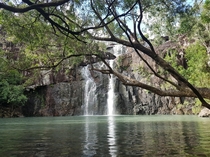 Cedar Creek Falls in QLD Australia 