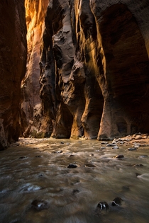 Celestial - Sunrise ignites the walls of The Narrows in Zion National Park Utah 