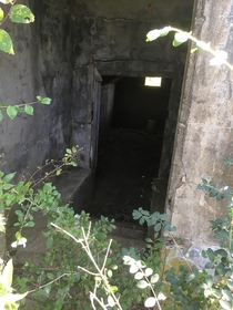 Cellar outside of an abandoned school