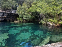 Cenote Azul in Quintana Roo MX  x