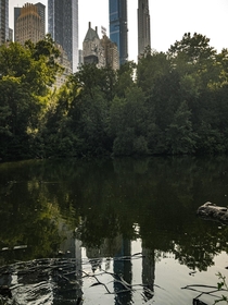 Central Park and its reflection