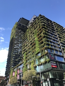 Central Park colloquially known as plant building - Sydney Australia 