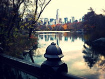 Central Park in Autumn 