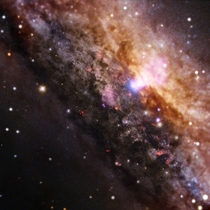 Chandra views Galaxy NGC  