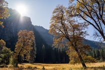 Changes in Creation - Yosemite Valley CA 
