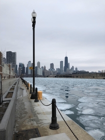 Chicago IL Taken from Navy Pier