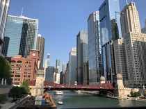 Chicago in summer