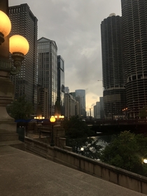 Chicago Nights