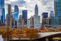 Chicagos Loop skyscrapers framed by Jay Pritzker Pavilion and Autumn Foliage 
