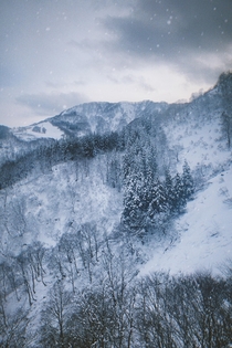 Chilly snowy mountain in Gala-Yuzawa Japan