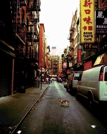 Chinatown in New York Shot on film