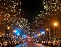 Christmas lights in downtown Frederick Maryland 